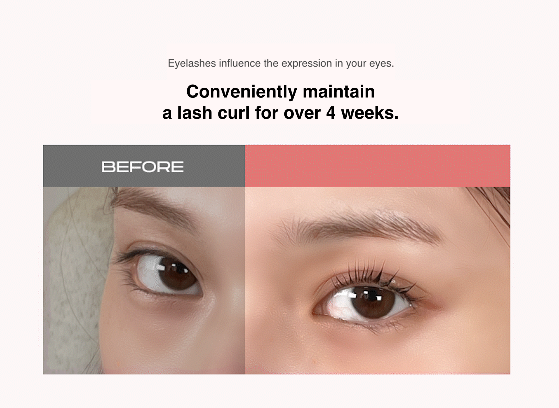 [Entropy] Self Lash Perm 30g