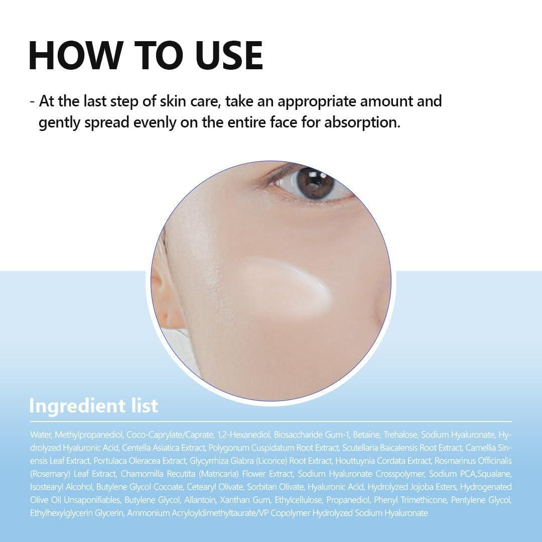 [Isntree] Hyaluronic Acid Aqua Gel Cream 100ml