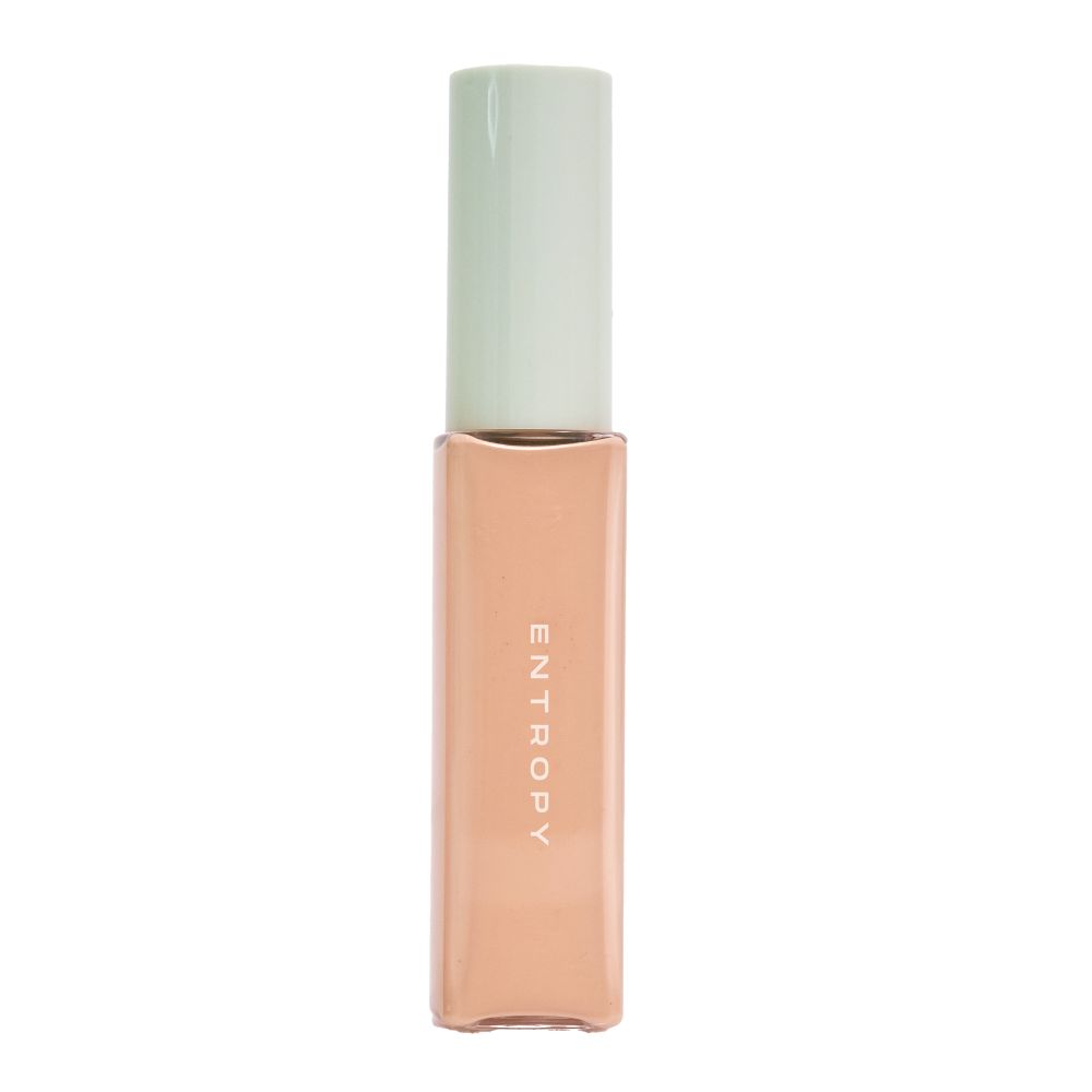 [ENTROPY] ORGANZA FIT SPATULA FOUNDATION #22.8